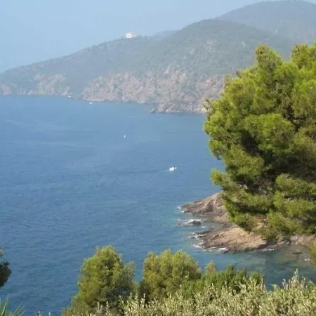 House Situation Exeptionnelle Cavalaire-sur-Mer